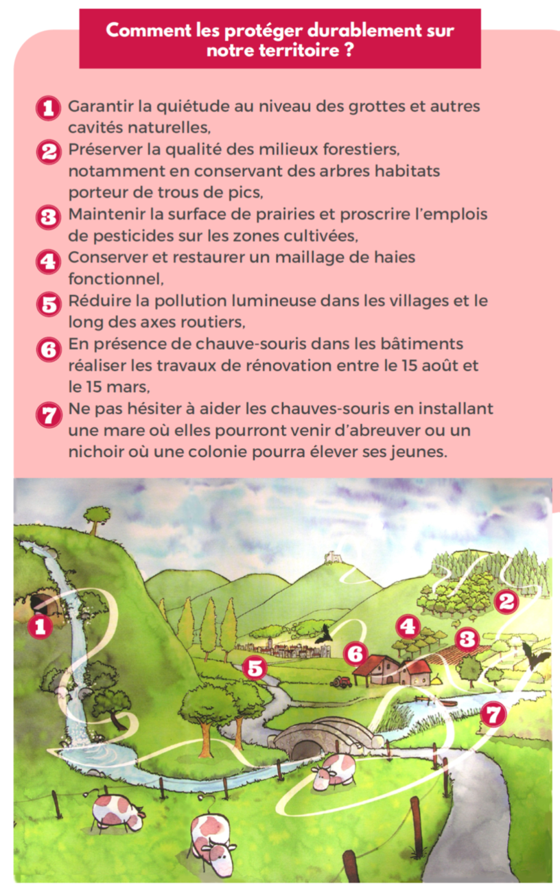 Les espèces de la Réserve CCLA Communauté de communes du lac d