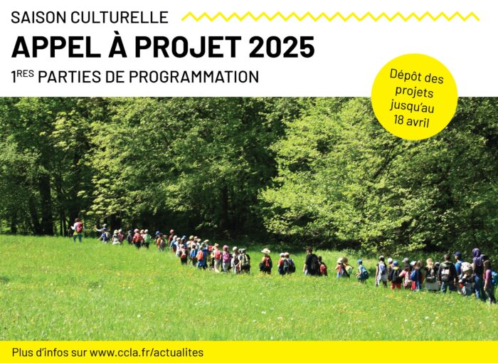 Appel à projet 2025 – saison culturelle estivale