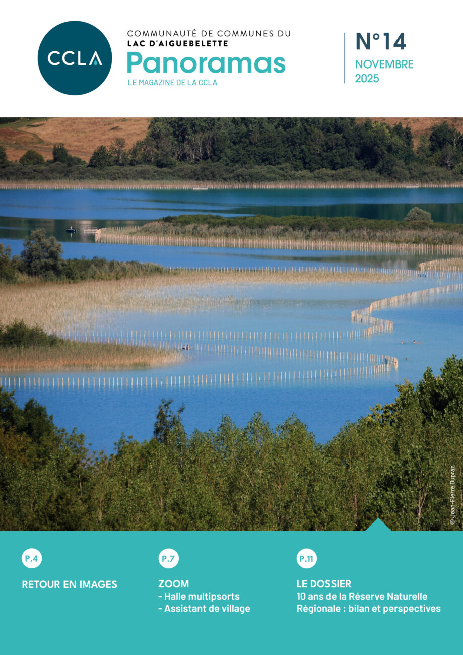 Découvrez le dernier numéro de Panoramas