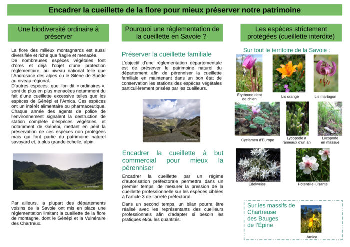 Encadrement de la cueillette