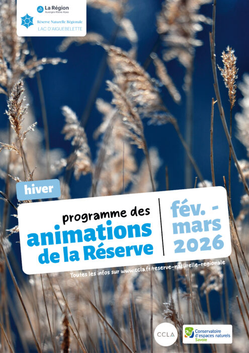 Programme des animations nature