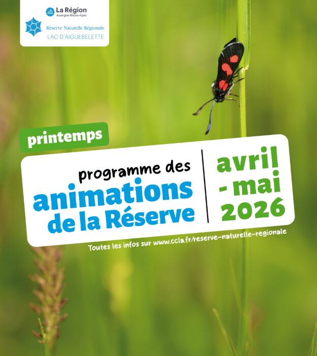Programme des animations nature