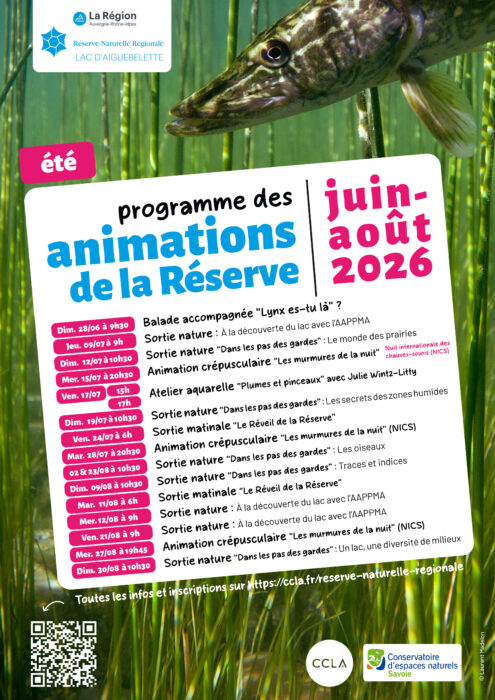 Été 2026 – Programmation animations nature